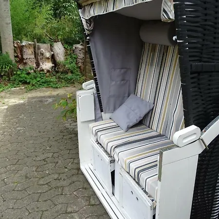 Fledermaus Göttingen
